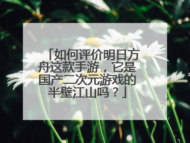 如何评价明日方舟这款手游，它是国产二次元游戏的半壁江山吗？