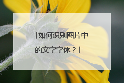 如何识别图片中的文字字体？