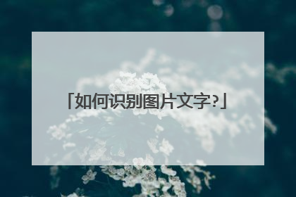 如何识别图片文字?