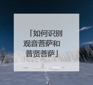 如何识别观音菩萨和普贤菩萨