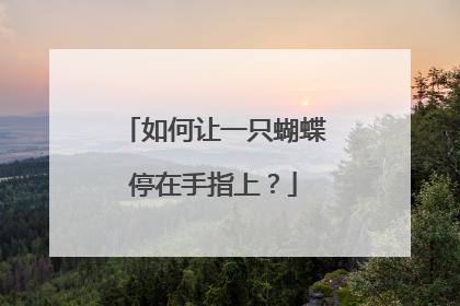 如何让一只蝴蝶停在手指上？