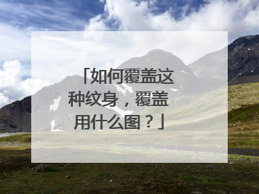 如何覆盖这种纹身，覆盖用什么图？