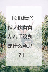 如图请各位大侠看看左右手纹身是什么意思？
