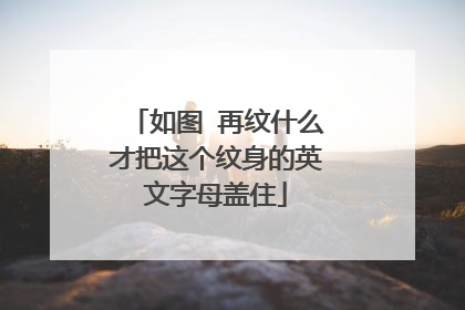 如图 再纹什么才把这个纹身的英文字母盖住