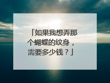 如果我想弄那个蝴蝶的纹身，需要多少钱？