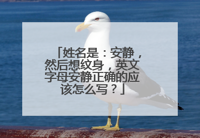 姓名是：安静，然后想纹身，英文字母安静正确的应该怎么写？