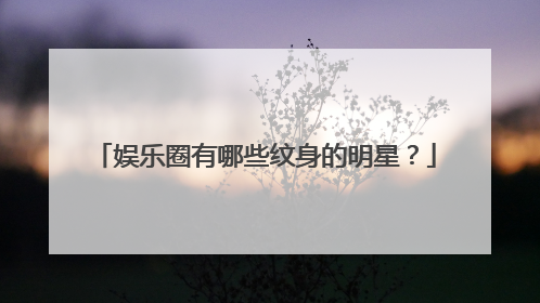 娱乐圈有哪些纹身的明星？