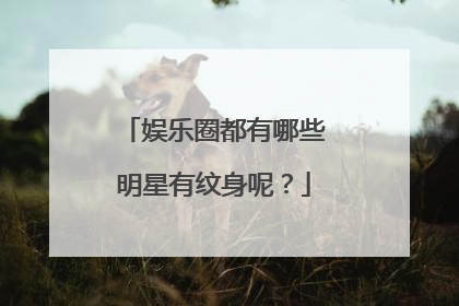 娱乐圈都有哪些明星有纹身呢？