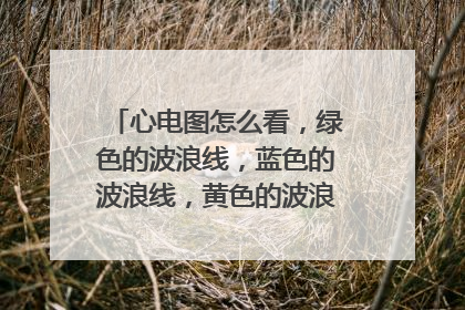 心电图怎么看，绿色的波浪线，蓝色的波浪线，黄色的波浪线是指什么?_?