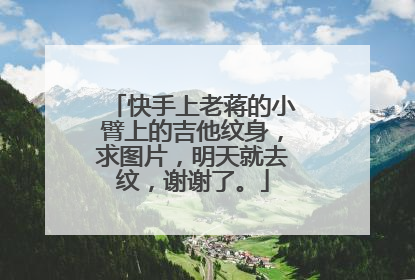 快手上老蒋的小臂上的吉他纹身，求图片，明天就去纹，谢谢了。