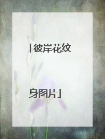 彼岸花纹身图片