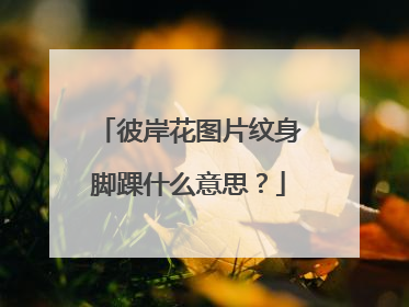 彼岸花图片纹身脚踝什么意思？