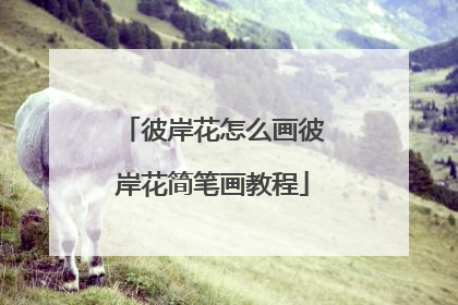 彼岸花怎么画彼岸花简笔画教程