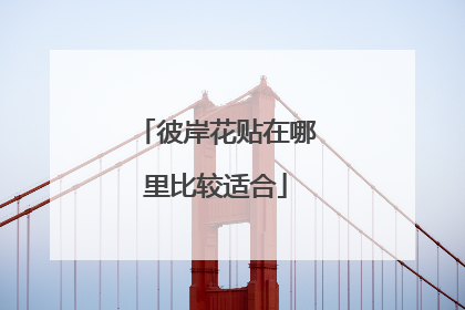 彼岸花贴在哪里比较适合