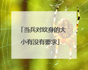 当兵对纹身的大小有没有要求