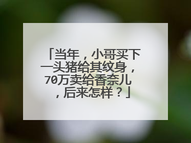 当年，小哥买下一头猪给其纹身，70万卖给香奈儿 ，后来怎样？