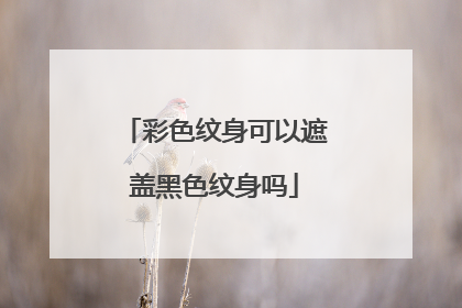 彩色纹身可以遮盖黑色纹身吗