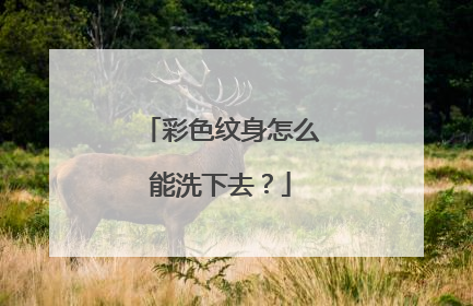 彩色纹身怎么能洗下去?