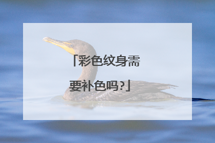 彩色纹身需要补色吗?