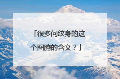 很多问纹身的这个图腾的含义？