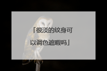 很淡的纹身可以调色遮暇吗