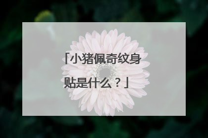 小猪佩奇纹身贴是什么？