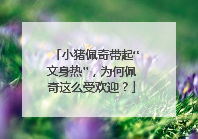 小猪佩奇带起“文身热”，为何佩奇这么受欢迎？