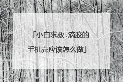 小白求救.滴胶的手机壳应该怎么做