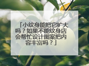 小纹身能把它扩大吗？如果不能纹身店会帮忙设计图案把内容丰富吗？