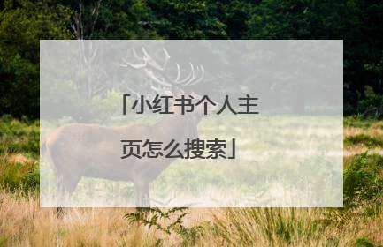 小红书个人主页怎么搜索