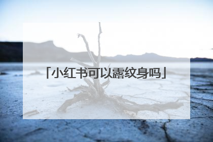 小红书可以露纹身吗