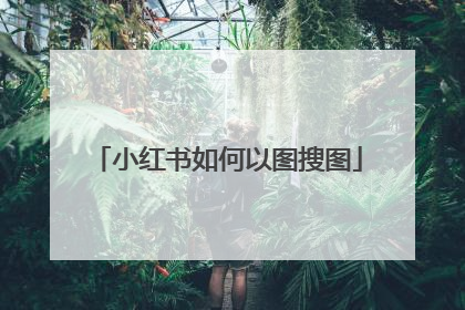 小红书如何以图搜图