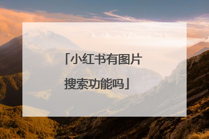 小红书有图片搜索功能吗