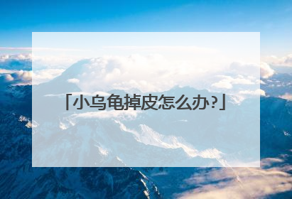 小乌龟掉皮怎么办?