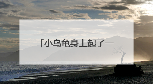 小乌龟身上起了一层皮 怎么办 急需!!!!!!!