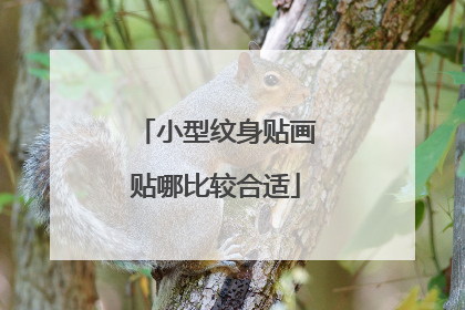 小型纹身贴画贴哪比较合适