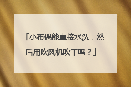 小布偶能直接水洗，然后用吹风机吹干吗？