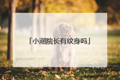 小潮院长有纹身吗