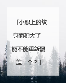 小腿上的纹身面积大了 能不能重新覆盖一个？