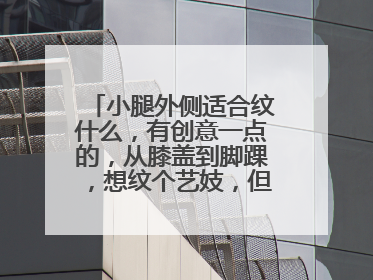 小腿外侧适合纹什么，有创意一点的，从膝盖到脚踝，想纹个艺妓，但是想不出来好的创意，