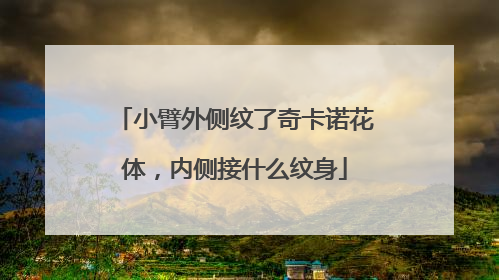 小臂外侧纹了奇卡诺花体，内侧接什么纹身