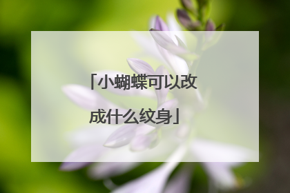 小蝴蝶可以改成什么纹身