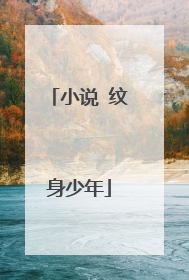 小说 纹身少年