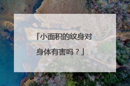 小面积的纹身对身体有害吗？
