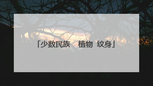 少数民族 植物 纹身