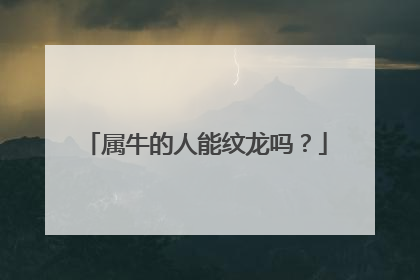 属牛的人能纹龙吗？