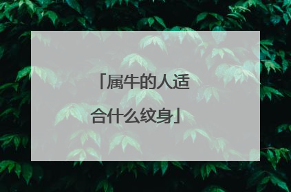 属牛的人适合什么纹身