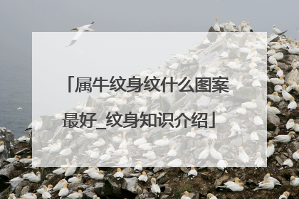 属牛纹身纹什么图案最好_纹身知识介绍