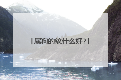 属狗的纹什么好?