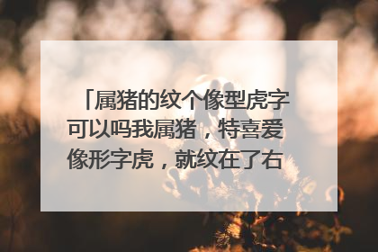 属猪的纹个像型虎字可以吗我属猪，特喜爱像形字虎，就纹在了右膀子上可以吗？
